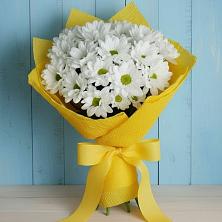 Букет цветов из:  Хризантемы в Волжском Самарской области