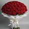 Букет 101 Красная роза Блэк Мэджик в Волжском Самарской области