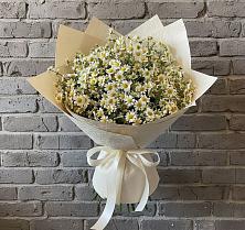 Букет цветов из:  Ромашки в Волжском Самарской области