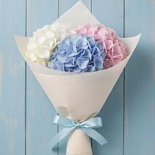 Букет цветов из:  Гортензия в Волжском Самарской области