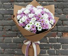 Букет цветов из:  Хризантемы в Волжском Самарской области