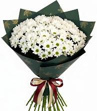 Букет цветов из:  Хризантемы в Волжском Самарской области