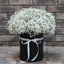Цветочная композиция из Гипсофила в шляпной коробке в Волжском Самарской области
