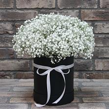 Цветочная композиция из Гипсофила в шляпной коробке в Волжском Самарской области