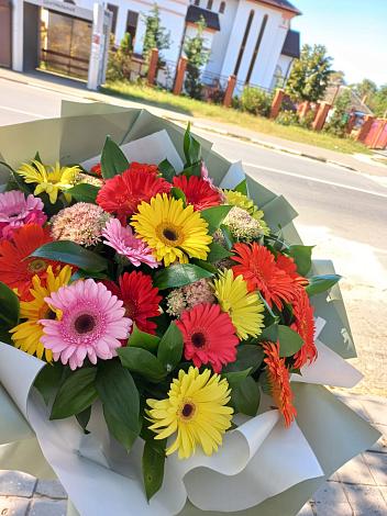 Букет цветов из: Герберы в Волжском Самарской области