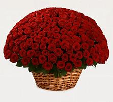 Премиум букет из: Розы в Волжском Самарской области