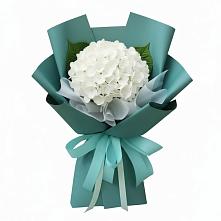 Букет цветов из:  Гортензия в Волжском Самарской области